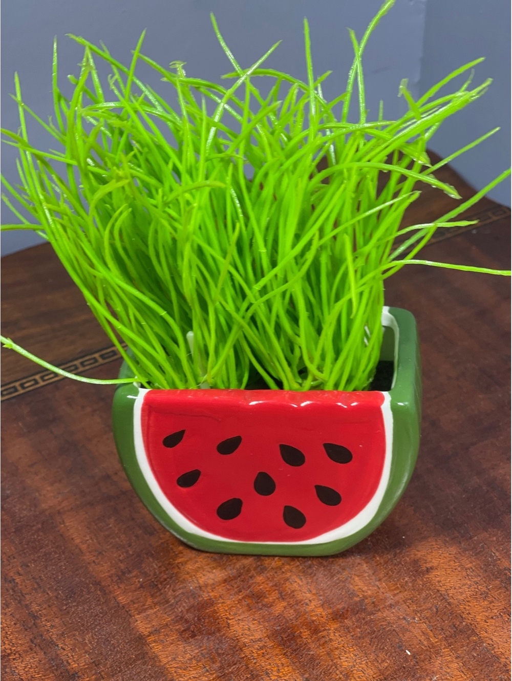 Ceramic Watermelon Slice Planter Pot with Artificial Green Plant
